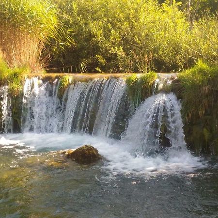 Kuca Za Odmor Zeleni Biser Villa Generalski Stol Dış mekan fotoğraf